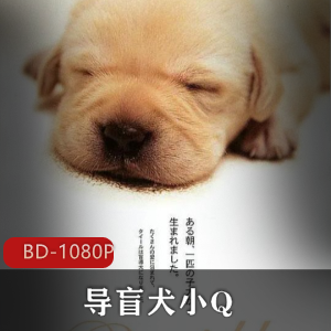 日本温情电影导盲犬小Q蓝光收藏版