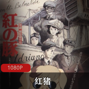 日本动画《红猪》日语中字高清典藏版推荐