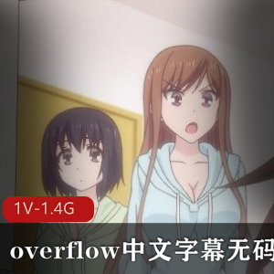 overflow中文字幕无码 [1V-1.4G]